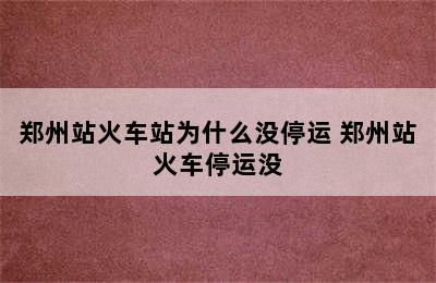 郑州站火车站为什么没停运 郑州站火车停运没